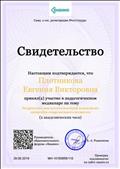 Педагогический меридиан по теме: "Творчество как неотъемлемый компонент личности современного педагога" (2 академических часа)  